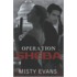 Operation Sheba