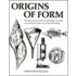 Origins Of Form