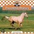 Palomino Horses