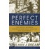 Perfect Enemies