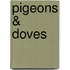 Pigeons & Doves