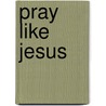 Pray Like Jesus door John R. Brokhoff