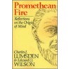 Promethean Fire door Edward Osborne Wilson