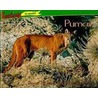 Pumas / Cougars door Trace Taylor