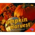 Pumpkin Harvest