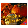 Pumpkin Harvest by Calvin Harris