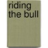 Riding the Bull