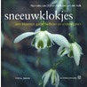 Sneeuwklokjes door Hanneke van Dijk