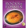Rocks & Fossils door Margareth Hynes