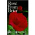 Rose from Brier