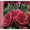 Rosen für dich by DorothéE. Bleker