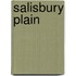 Salisbury Plain