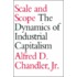 Scale and Scope