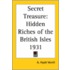 Secret Treasure