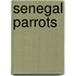Senegal Parrots