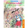 De geheime indiaan
