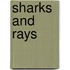Sharks And Rays