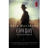 Cowboy door S. Davidson