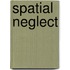 Spatial Neglect