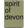 Spirit Of Devon by Lee Pengelly