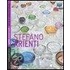 Stefano Arienti