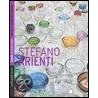 Stefano Arienti door Giorgio Verzotti