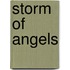 Storm Of Angels