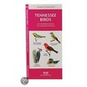 Tennessee Birds by James Kavanaugh