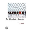 The Adirondacks door Seneca Ray Stoddard