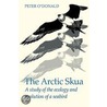 The Arctic Skua door Peter O'Donald