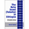 The Beta Israel door Steven Kaplan