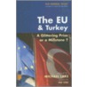 The Eu & Turkey by Michael Lake