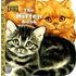 The Kitten Book
