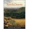 The North Downs door Peter Brandon