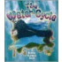 The Water Cycle