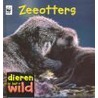 Zeeotters by Patricia Kendell