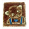Tiny Bear Bible by Sally Lloyd Jones