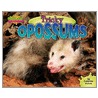 Tricky Opossums door Catherine Nichols