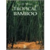 Tropical Bamboo by Marcello Villegas