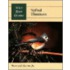 Tufted Titmouse