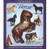 Uncover a Horse