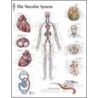 Vascular System by Scientific Publishing Ltd.
