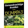 Geneeskrachtige kruiden voor Dummies