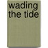 Wading The Tide