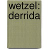 Wetzel: Derrida door Michael Wetzel