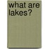 What Are Lakes?