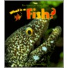 What Is A Fish? door Bobbie Kalman