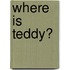 Where Is Teddy?