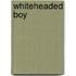 Whiteheaded Boy