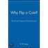 Why Flip a Coin